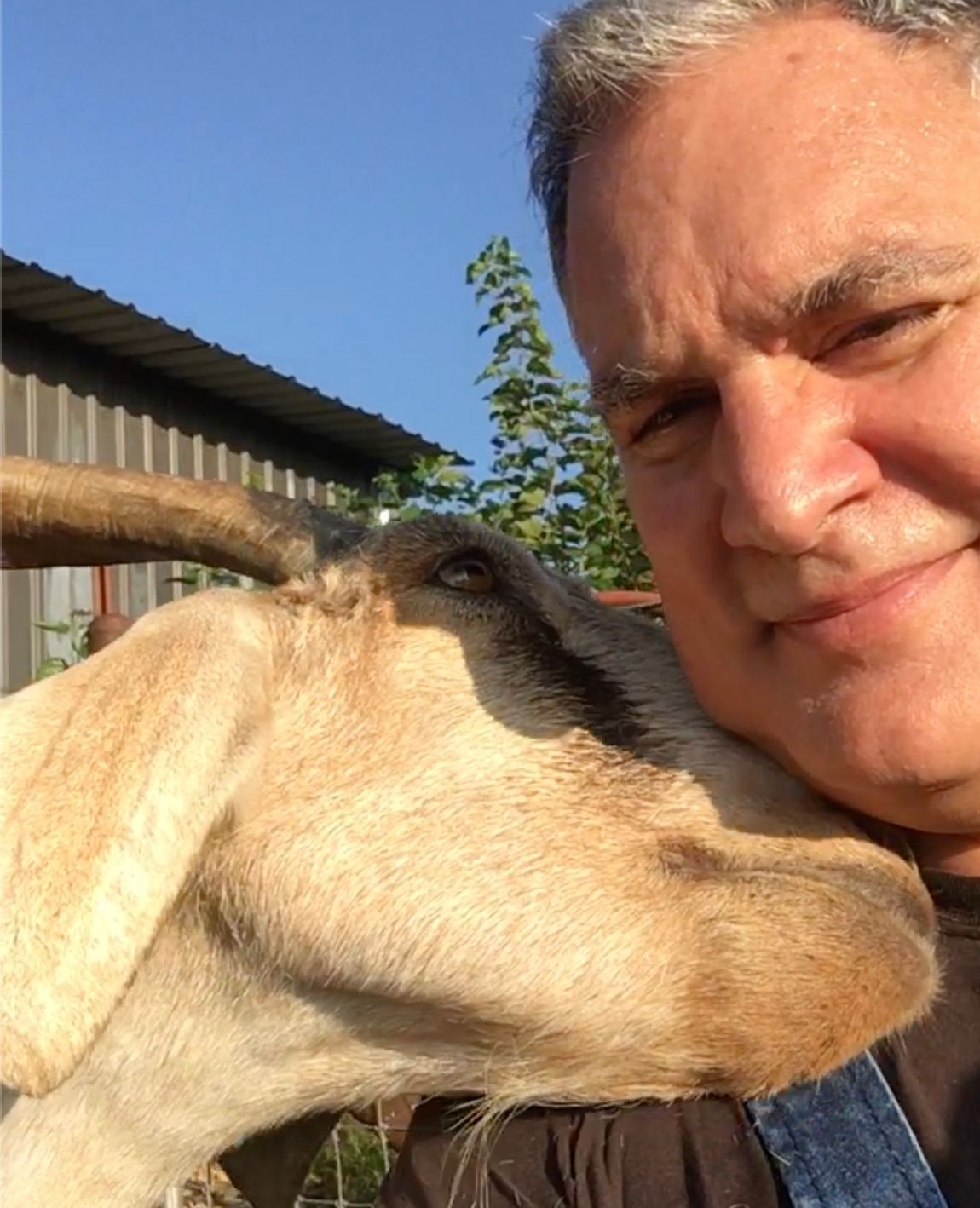 Kisses From Rufus