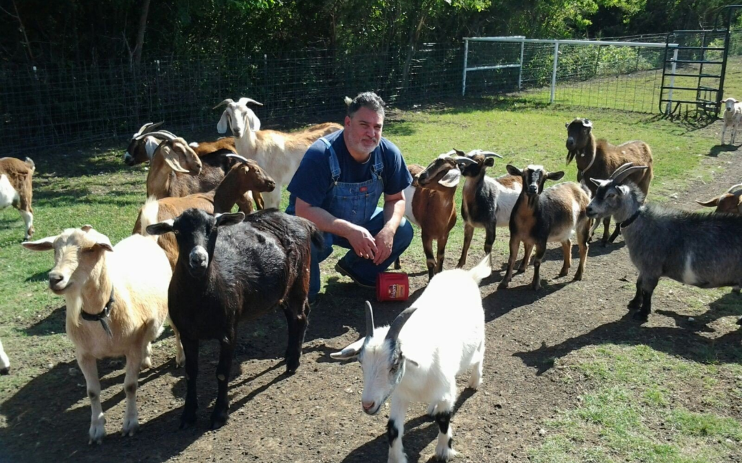 Goat Care at Lucky Glider Ranch